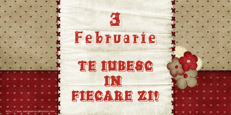 Astazi este 3 Februarie si vreau sa-ti amintesc ca te iubesc!