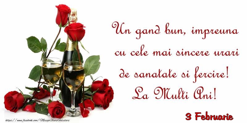 Felicitari de 3 Februarie - 3 Februarie - Un gand bun, impreuna cu cele mai sincere urari de sanatate si fercire! La Multi Ani!