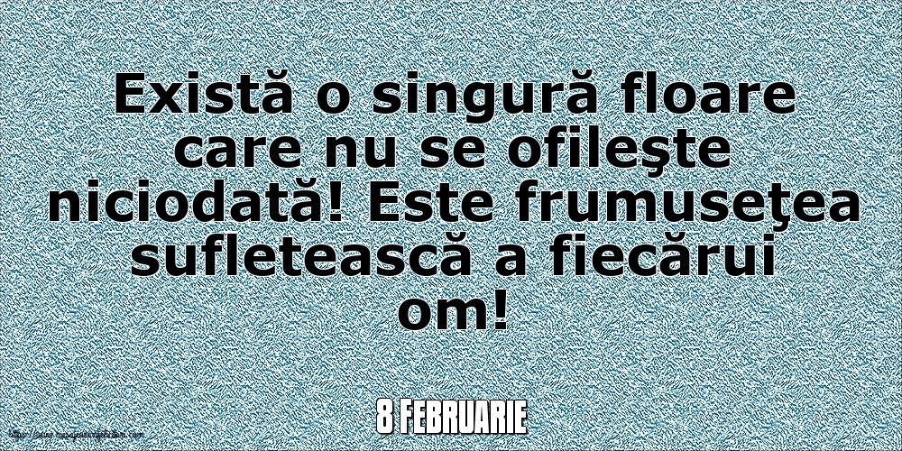 Felicitari de 8 Februarie - 8 Februarie - Există o singură floare care nu se ofileşte niciodată