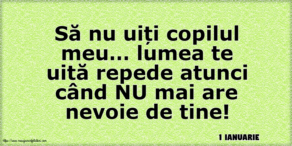 Felicitari de 1 Ianuarie - 1 Ianuarie - Să nu uiți copilul meu