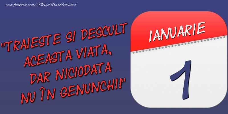 Felicitari de 1 Ianuarie - Trăieşte şi desculţ această viaţă, dar niciodată nu în genunchi! 1 Ianuarie