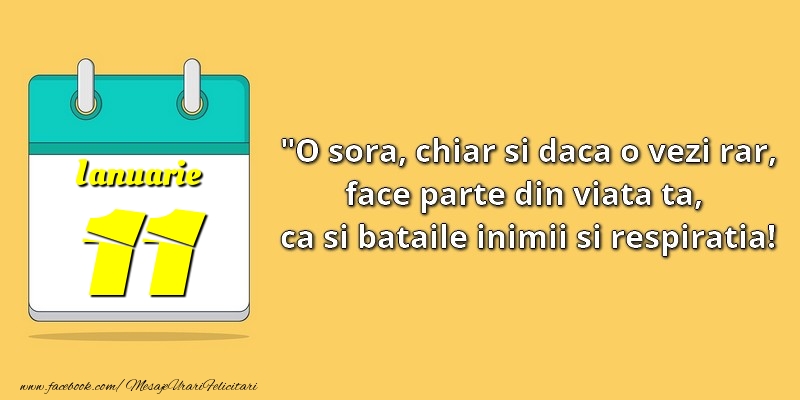 O soră, chiar şi dacă o vezi rar, face parte din viata ta, ca şi bătăile inimii şi respiraţia! 11Ianuarie