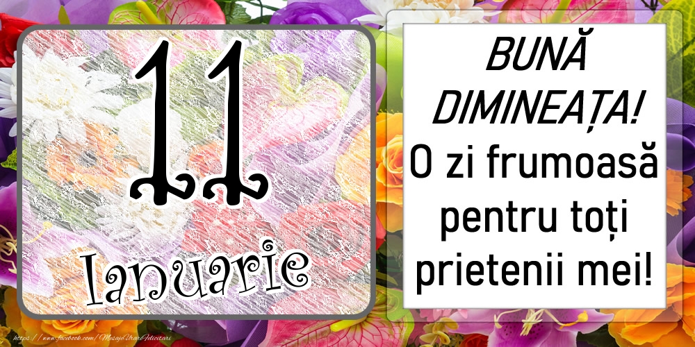 11 Ianuarie - BUNĂ DIMINEAȚA! O zi frumoasă pentru toți prietenii mei!