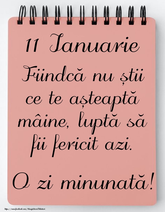 Mesajul zilei -  11 Ianuarie - O zi minunată!