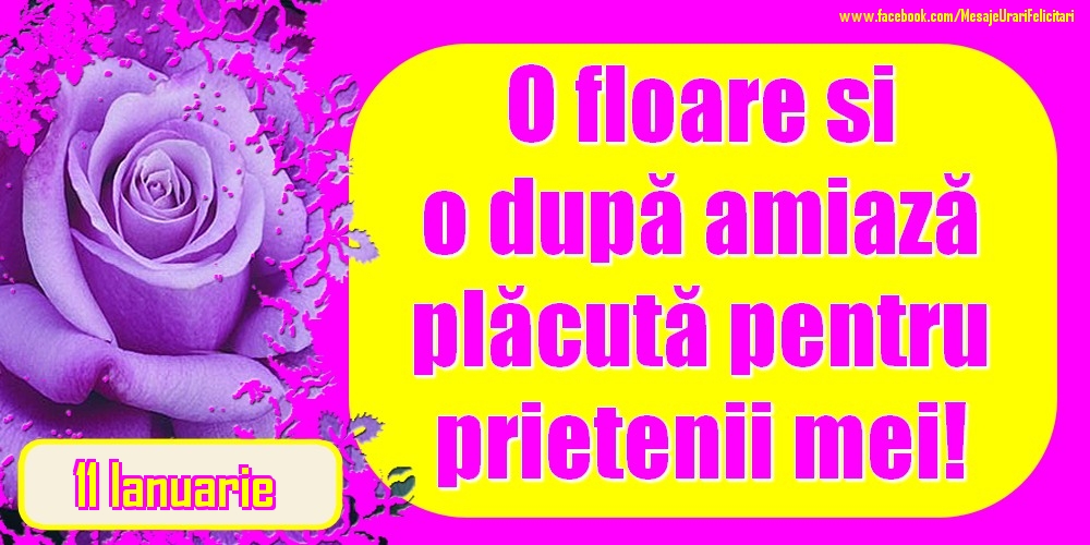 Felicitari de 11 Ianuarie - 11.Ianuarie - O floare și o după amiază plăcută pentru prietenii mei!