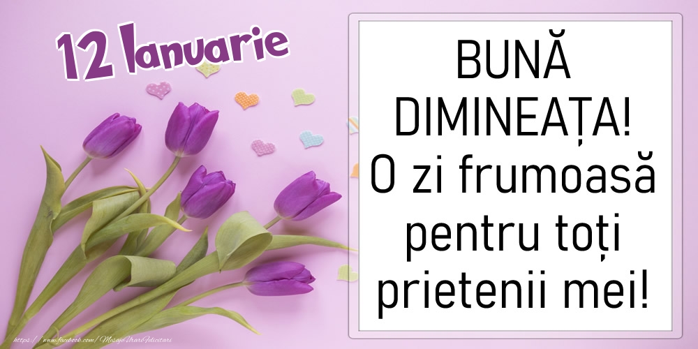 12 Ianuarie - BUNĂ DIMINEAȚA! O zi frumoasă pentru toți prietenii mei!