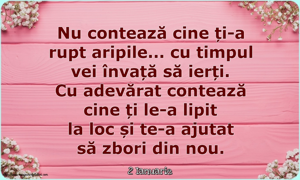 Felicitari de 2 Ianuarie - 2 Ianuarie - Nu contează cine ți-a rupt aripile...