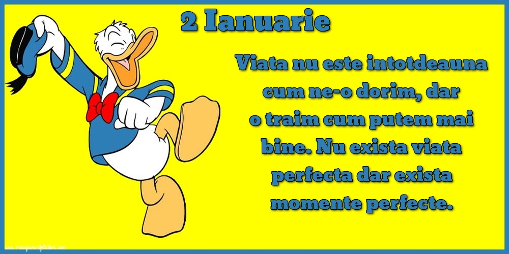 2.Ianuarie Viata nu este intotdeauna cum ne-o dorim, dar o traim cum putem mai bine. Nu exista viata perfecta dar exista momente perfecte.