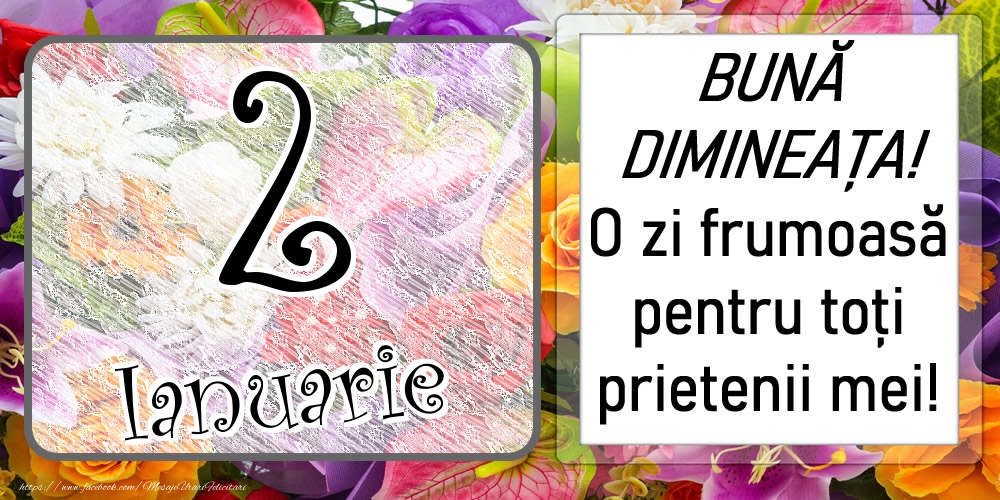 2 Ianuarie - BUNĂ DIMINEAȚA! O zi frumoasă pentru toți prietenii mei!