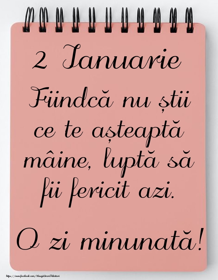 Mesajul zilei -  2 Ianuarie - O zi minunată!