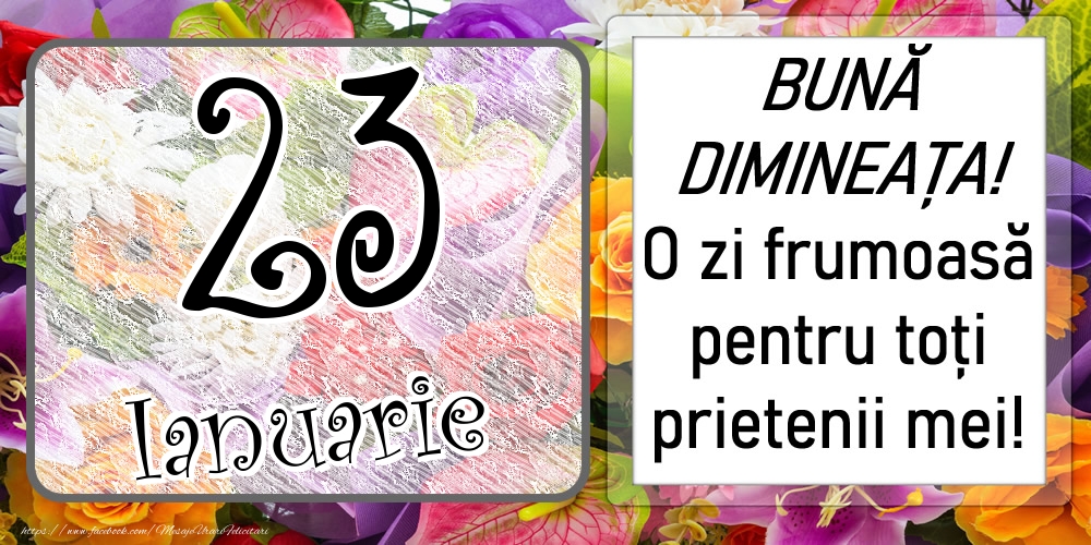 23 Ianuarie - BUNĂ DIMINEAȚA! O zi frumoasă pentru toți prietenii mei!