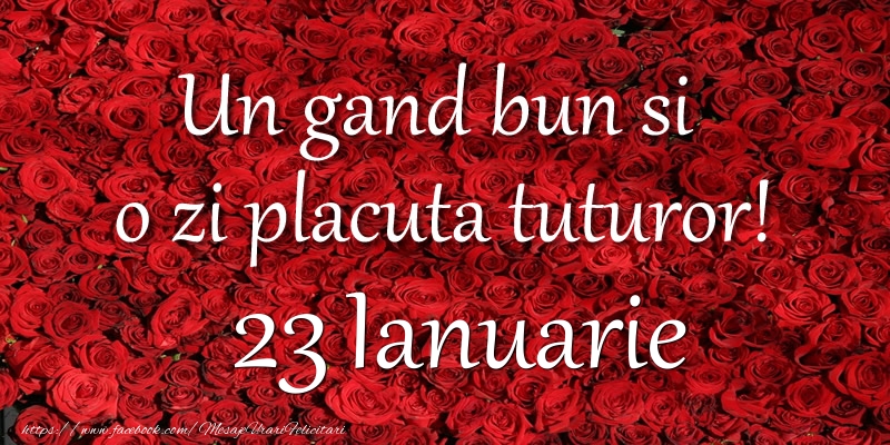 Felicitari de 23 Ianuarie - Un gand bun si  o zi placuta tuturor! Ianuarie 23