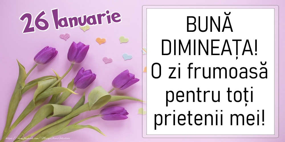 26 Ianuarie - BUNĂ DIMINEAȚA! O zi frumoasă pentru toți prietenii mei!