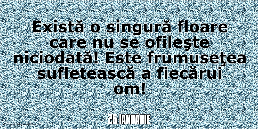 Felicitari de 26 Ianuarie - 26 Ianuarie - Există o singură floare care nu se ofileşte niciodată