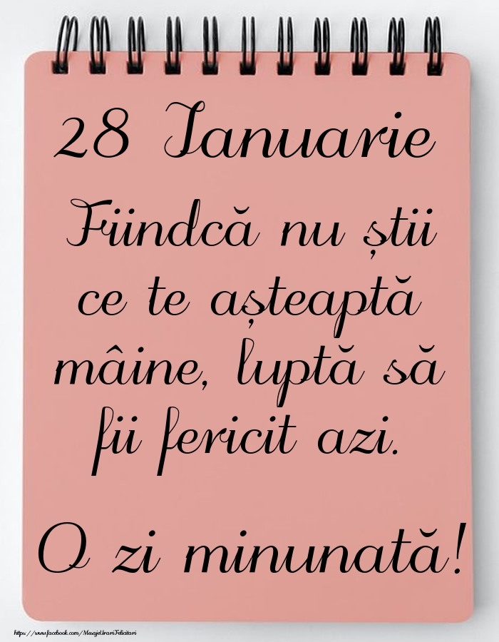 Mesajul zilei -  28 Ianuarie - O zi minunată!