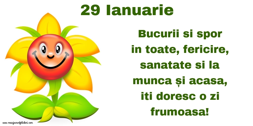 29.Ianuarie Bucurii si spor in toate, fericire, sanatate si la munca și acasa, iti doresc o zi frumoasa!