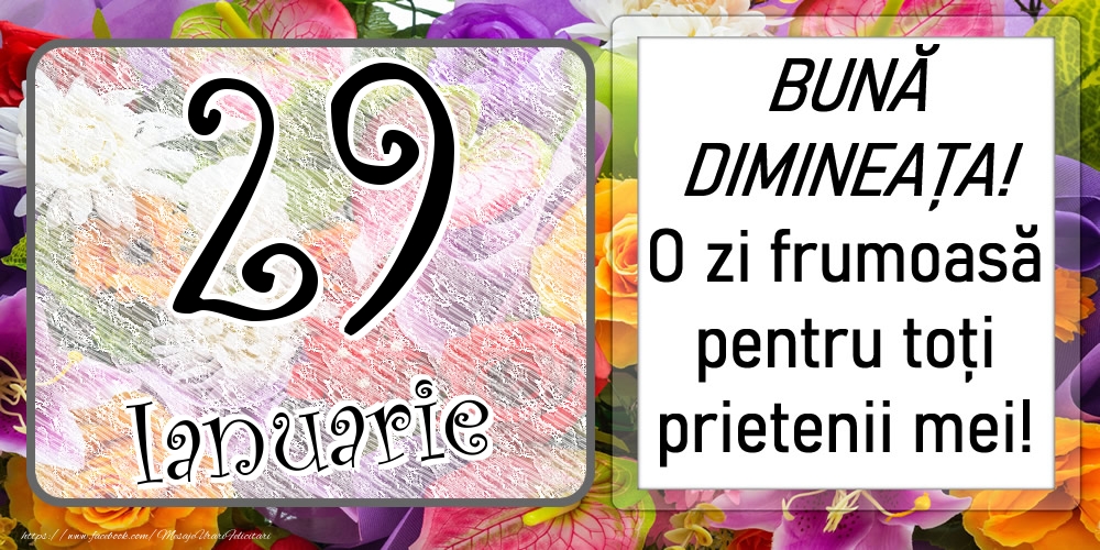 29 Ianuarie - BUNĂ DIMINEAȚA! O zi frumoasă pentru toți prietenii mei!