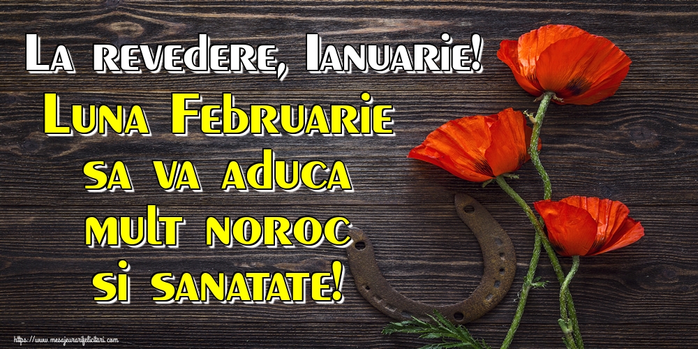 Felicitari de 31 Ianuarie - La revedere, Ianuarie! Luna Februarie sa va aduca mult noroc si sanatate!