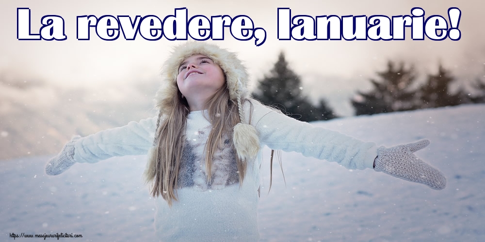 Felicitari de 31 Ianuarie - La revedere, Ianuarie!