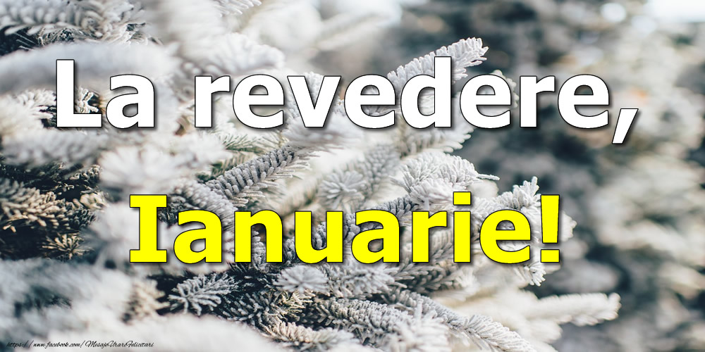 Felicitari de 31 Ianuarie - La revedere, Ianuarie!