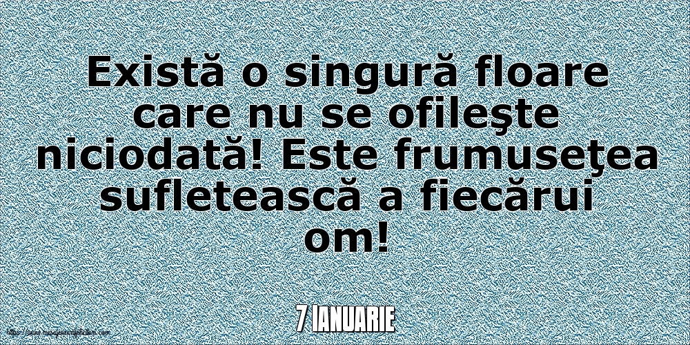 Felicitari de 7 Ianuarie - 7 Ianuarie - Există o singură floare care nu se ofileşte niciodată