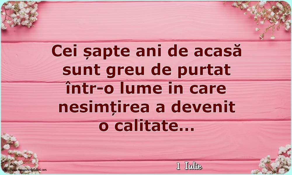 Felicitari de 1 Iulie - 1 Iulie - Cei șapte ani de acasă