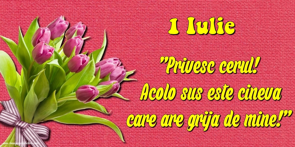 Felicitari de 1 Iulie - 1.Iulie Privesc cerul! Acolo sus este cineva care are grija de mine!