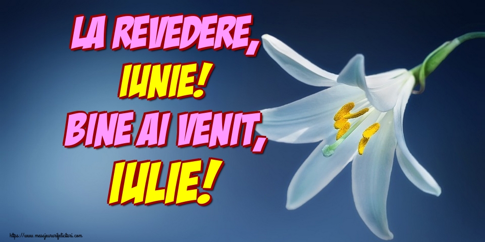 Felicitari de 1 Iulie - La revedere, Iunie! Bine ai venit, Iulie!