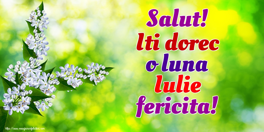 Felicitari de 1 Iulie - Salut! Iti dorec o luna Iulie fericita!