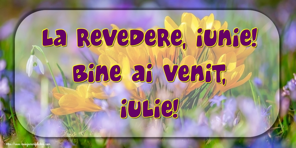 Felicitari de 1 Iulie - La revedere, Iunie! Bine ai venit, Iulie!