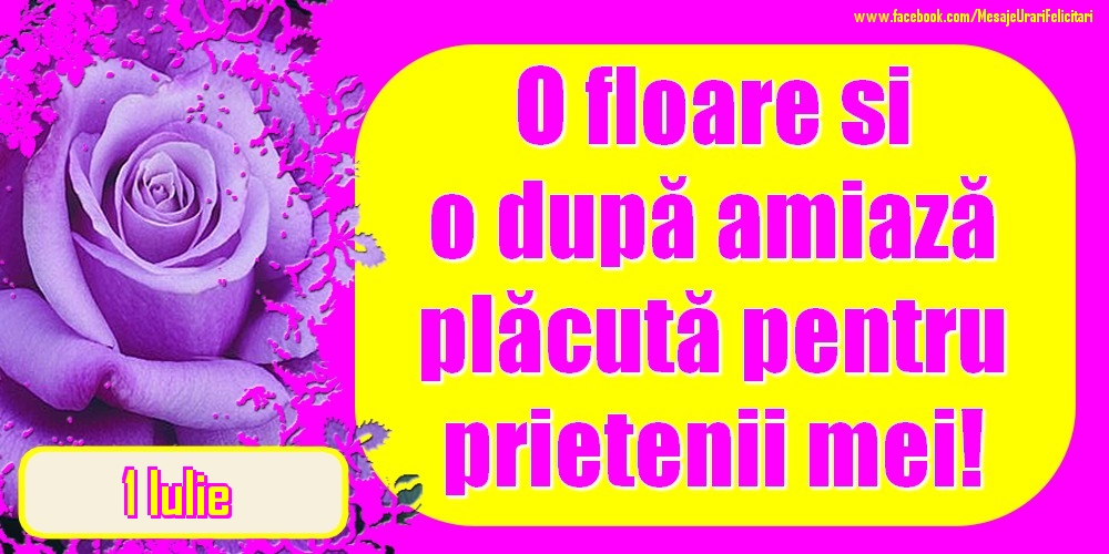 1.Iulie - O floare și o după amiază plăcută pentru prietenii mei!