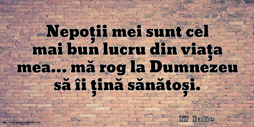 Felicitari de 17 Iulie - 17 Iulie - Nepoții mei sunt cel mai bun lucru din viața mea…