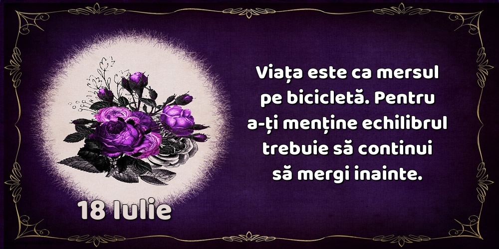 18.Iulie Viața este ca mersul pe bicicletă. Pentru a-ți menține echilibrul trebuie să continui să mergi inainte.