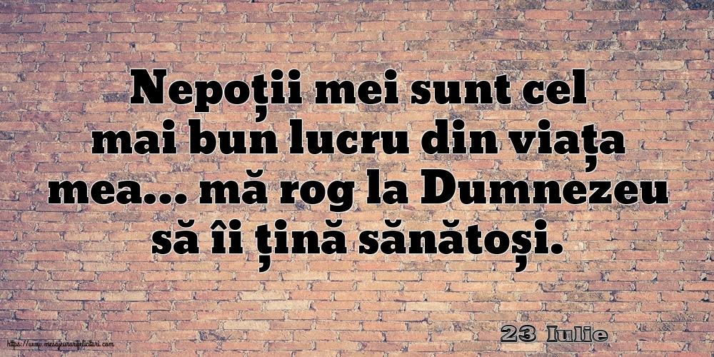 Felicitari de 23 Iulie - 23 Iulie - Nepoții mei sunt cel mai bun lucru din viața mea…