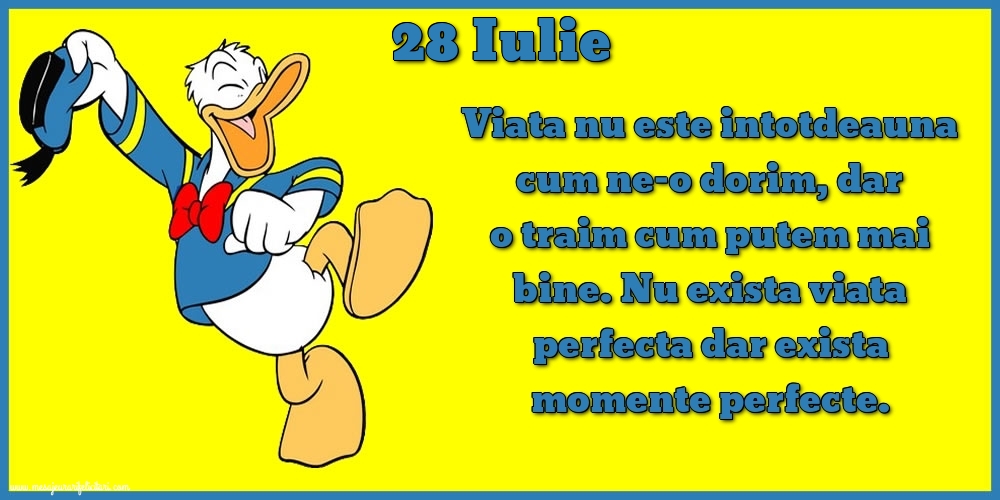 28.Iulie Viata nu este intotdeauna cum ne-o dorim, dar o traim cum putem mai bine. Nu exista viata perfecta dar exista momente perfecte.