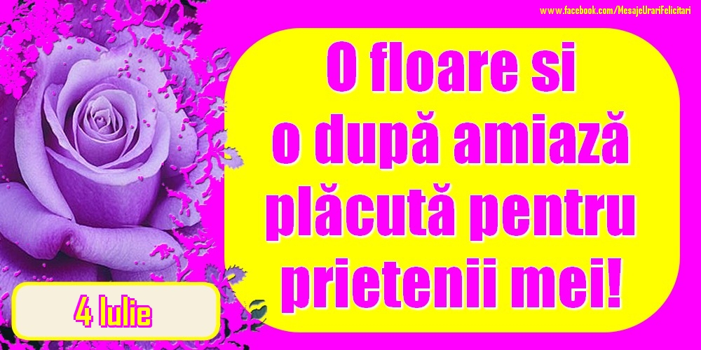 4.Iulie - O floare și o după amiază plăcută pentru prietenii mei!