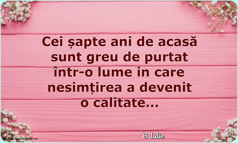 Felicitari de 6 Iulie - 6 Iulie - Cei șapte ani de acasă