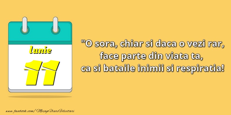 O soră, chiar şi dacă o vezi rar, face parte din viata ta, ca şi bătăile inimii şi respiraţia! 11Iunie