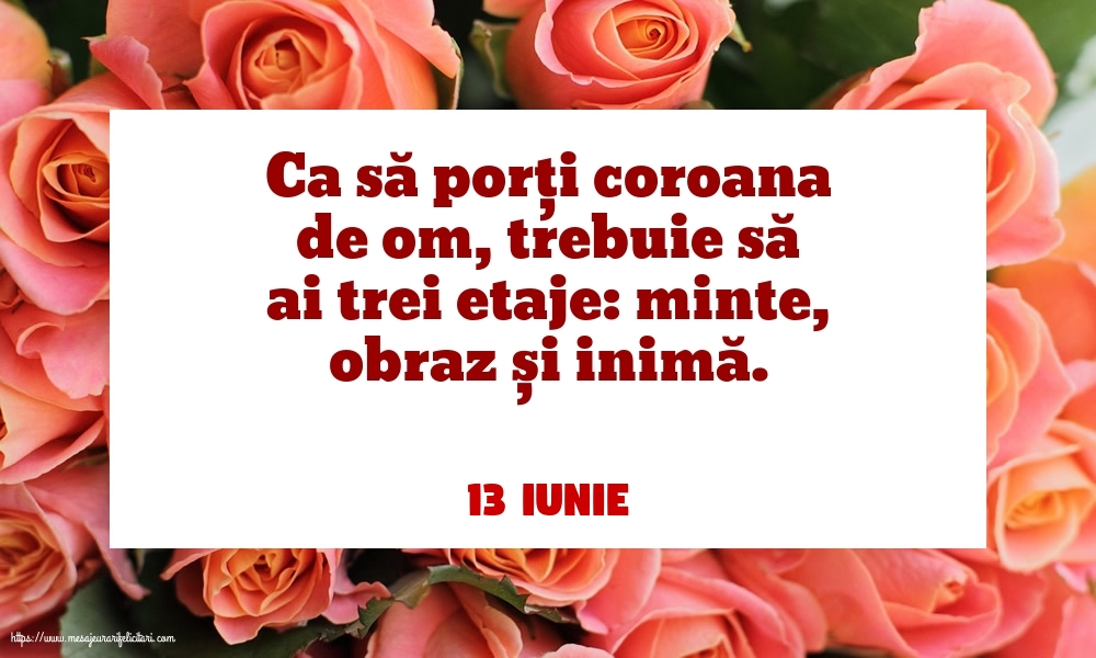 Felicitari de 13 Iunie - 13 Iunie - Ca să porți coroana de om, trebuie să ai trei etaje: minte, obraz și inimă.