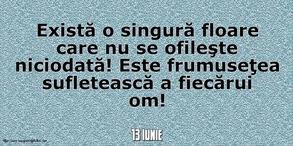 13 Iunie - Există o singură floare care nu se ofileşte niciodată