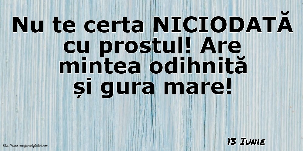 Felicitari de 13 Iunie - 13 Iunie - Nu te certa NICIODATĂ cu prostul!