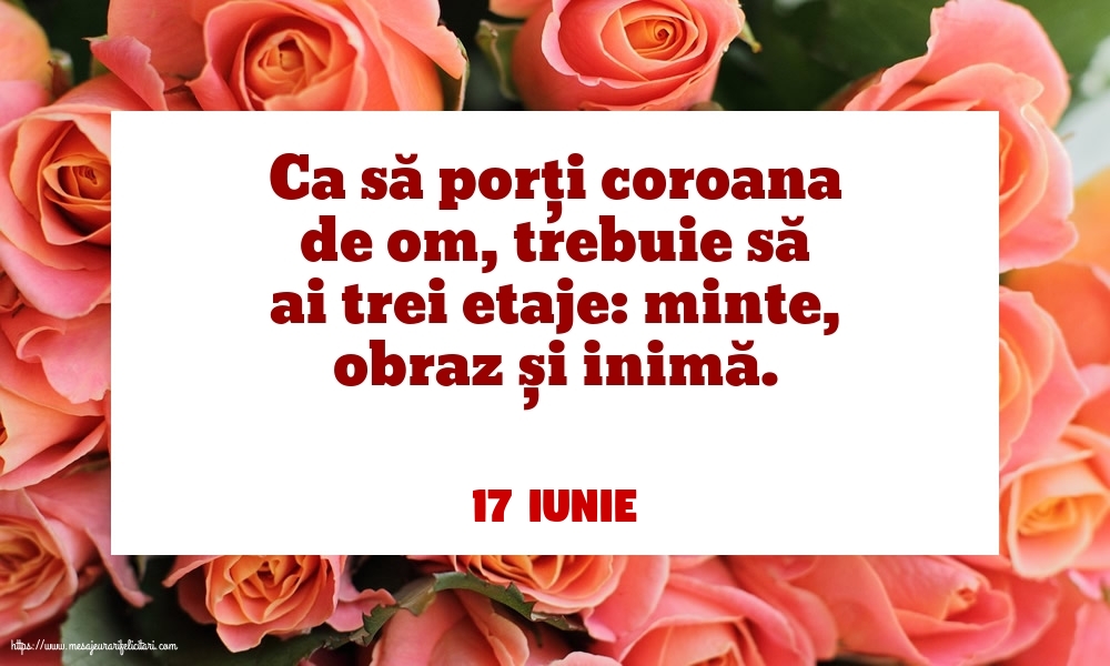 Felicitari de 17 Iunie - 17 Iunie - Ca să porți coroana de om, trebuie să ai trei etaje: minte, obraz și inimă.