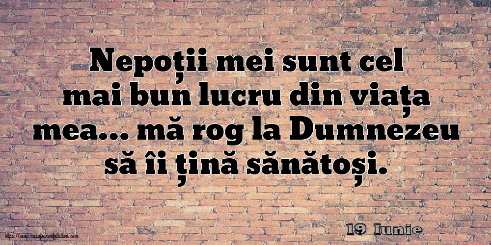 Felicitari de 19 Iunie - 19 Iunie - Nepoții mei sunt cel mai bun lucru din viața mea…