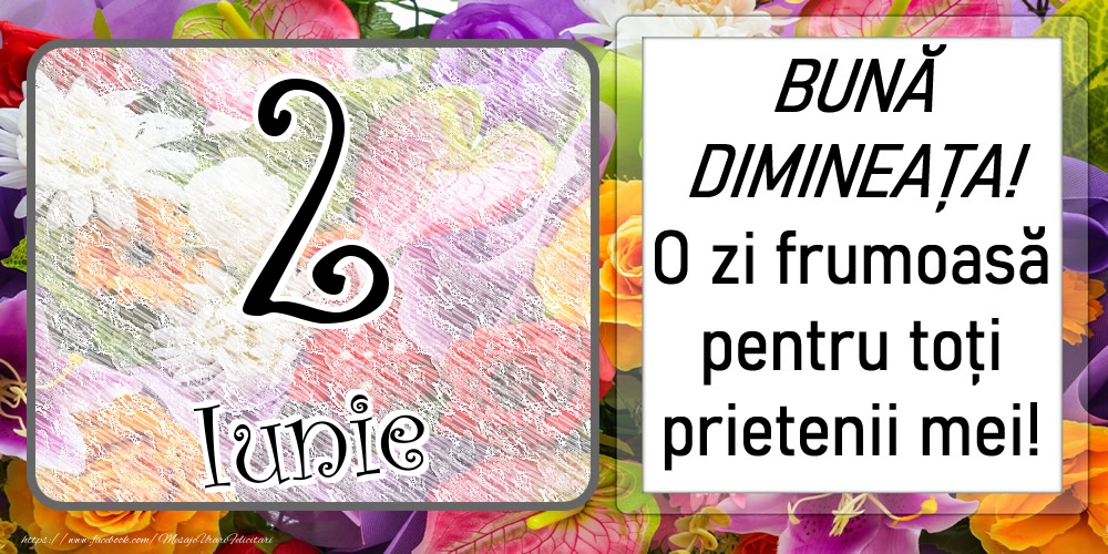 2 Iunie - BUNĂ DIMINEAȚA! O zi frumoasă pentru toți prietenii mei!