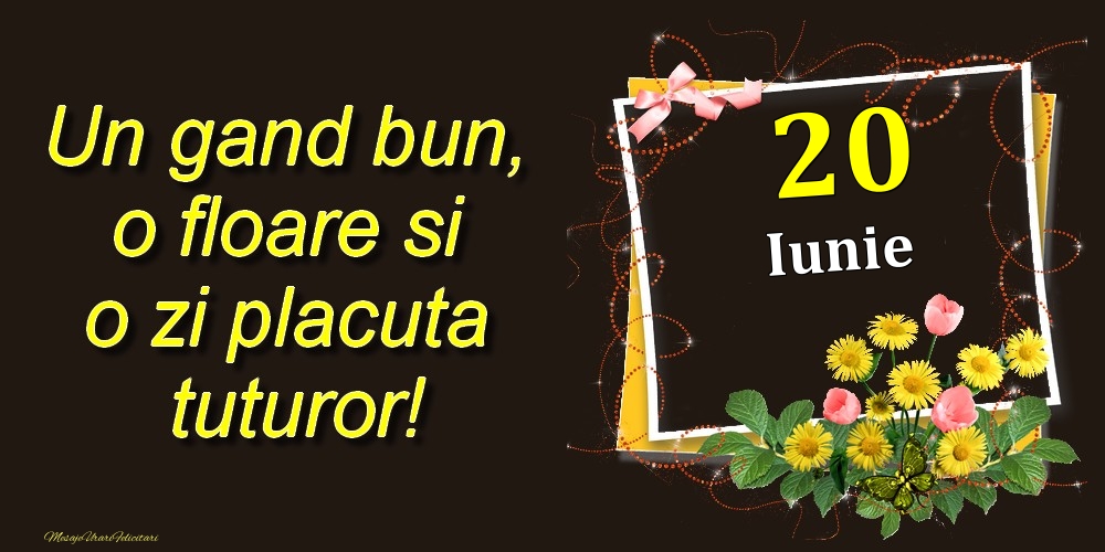 Felicitari de 20 Iunie - Iunie 20 Un gand bun, o floare si o zi placuta tuturor!