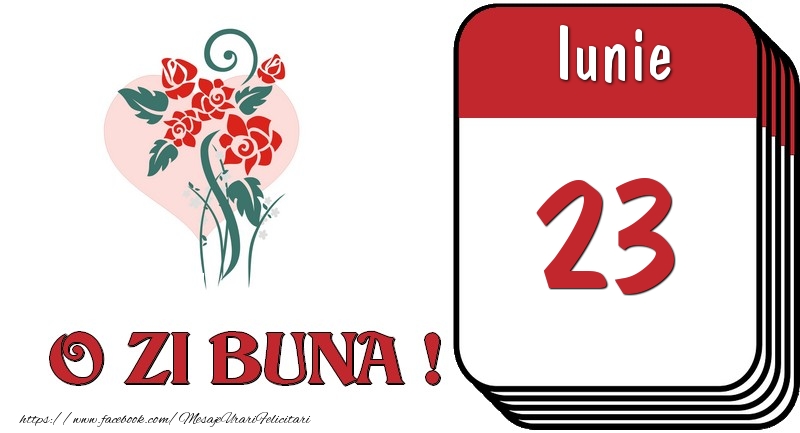 Iunie 23 O zi buna