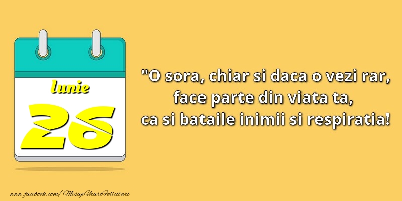 O soră, chiar şi dacă o vezi rar, face parte din viata ta, ca şi bătăile inimii şi respiraţia! 26Iunie