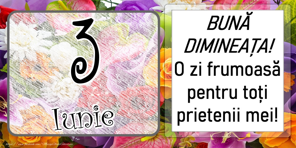 3 Iunie - BUNĂ DIMINEAȚA! O zi frumoasă pentru toți prietenii mei!