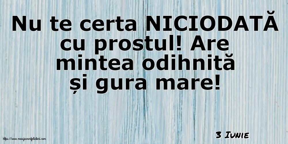 Felicitari de 3 Iunie - 3 Iunie - Nu te certa NICIODATĂ cu prostul!