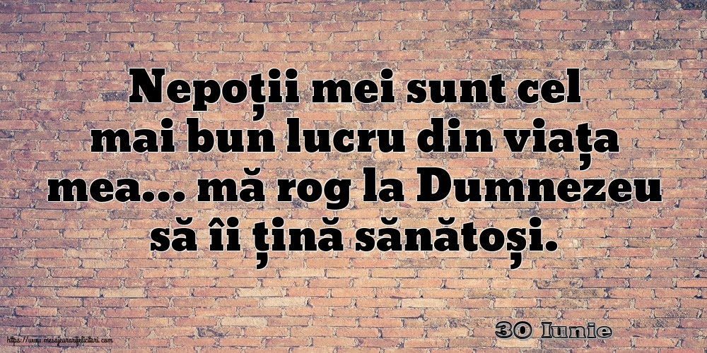 Felicitari de 30 Iunie - 30 Iunie - Nepoții mei sunt cel mai bun lucru din viața mea…